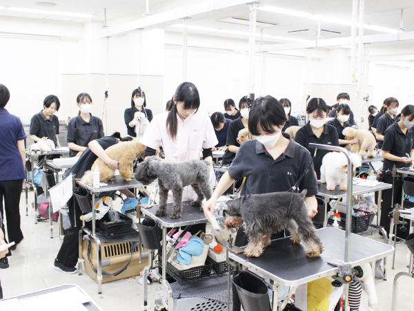本日もかわいいお客様が来校♪